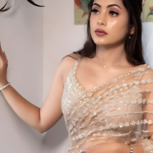 Embellished Beads and Stones Saree